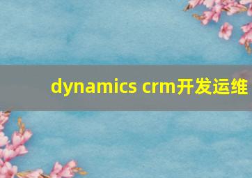 dynamics crm开发运维